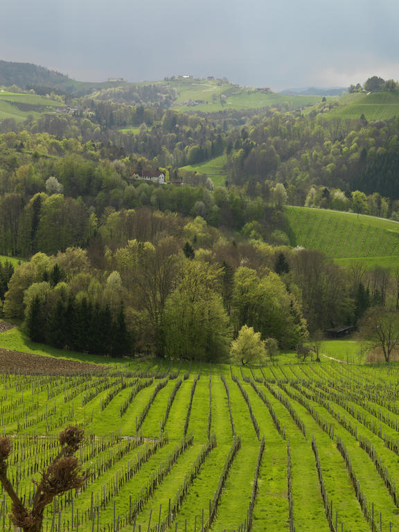 Weingut Skoff Original Otel Gamlitz Dış mekan fotoğraf